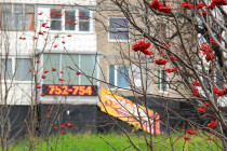 Позитив (Фотопечать в течение дня)